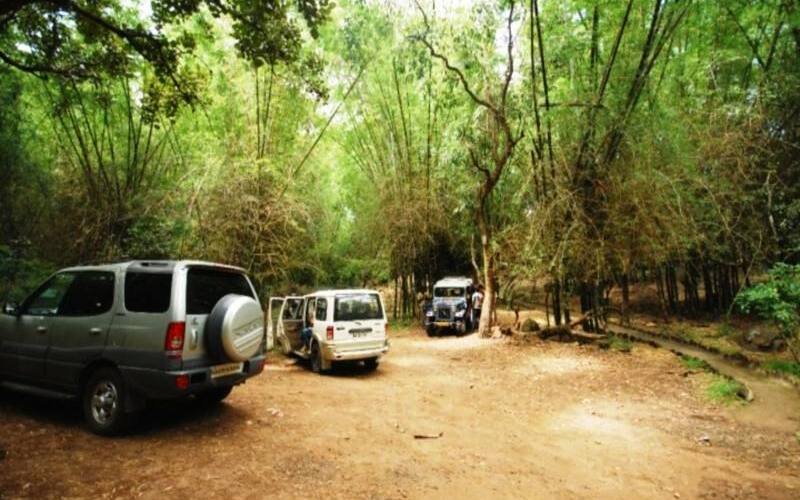 Glen View Resorts (30 Kms from Ooty), Masinagudi 4